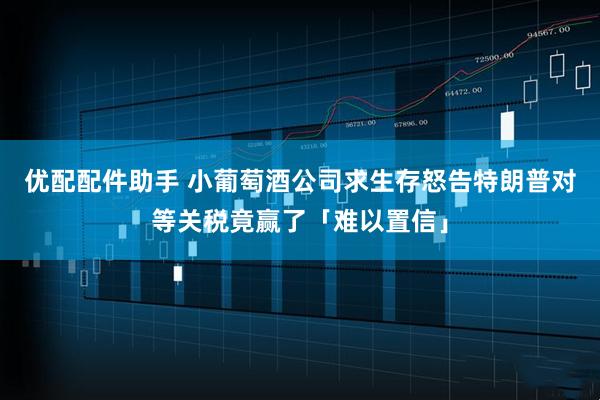 优配配件助手 小葡萄酒公司求生存怒告特朗普对等关税竟赢了「难以置信」
