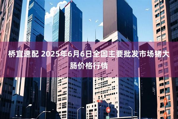 桥宜速配 2025年6月6日全国主要批发市场猪大肠价格行情