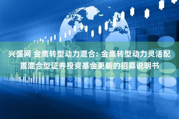 兴盛网 金鹰转型动力混合: 金鹰转型动力灵活配置混合型证券投资基金更新的招募说明书