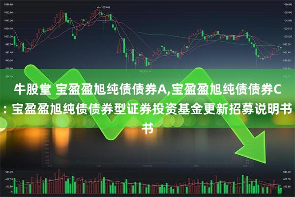 牛股堂 宝盈盈旭纯债债券A,宝盈盈旭纯债债券C: 宝盈盈旭纯债债券型证券投资基金更新招募说明书