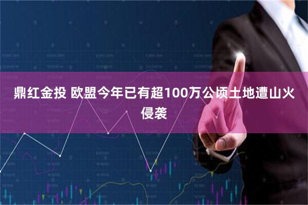 鼎红金投 欧盟今年已有超100万公顷土地遭山火侵袭