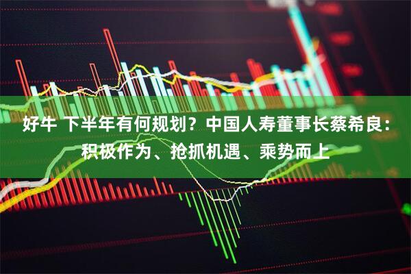 好牛 下半年有何规划？中国人寿董事长蔡希良：积极作为、抢抓机遇、乘势而上