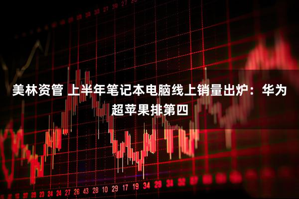 美林资管 上半年笔记本电脑线上销量出炉：华为超苹果排第四
