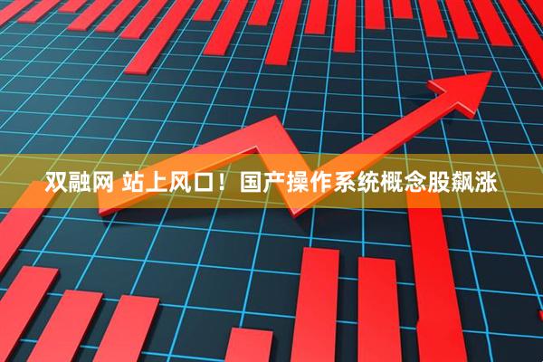 双融网 站上风口！国产操作系统概念股飙涨