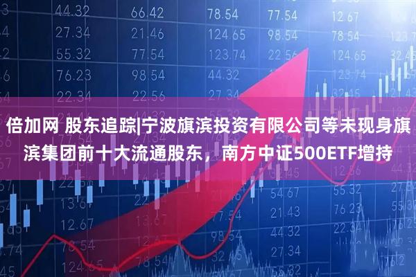 倍加网 股东追踪|宁波旗滨投资有限公司等未现身旗滨集团前十大流通股东，南方中证500ETF增持