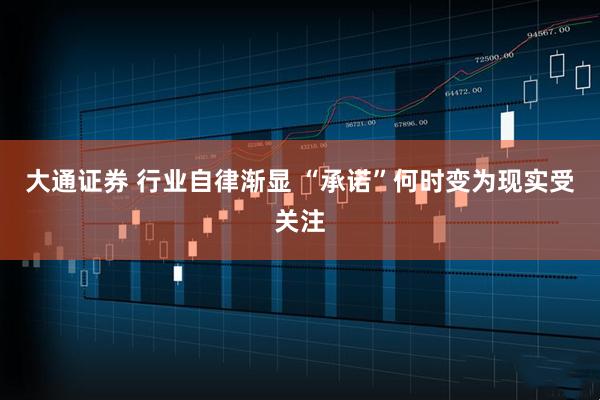 大通证券 行业自律渐显 “承诺”何时变为现实受关注