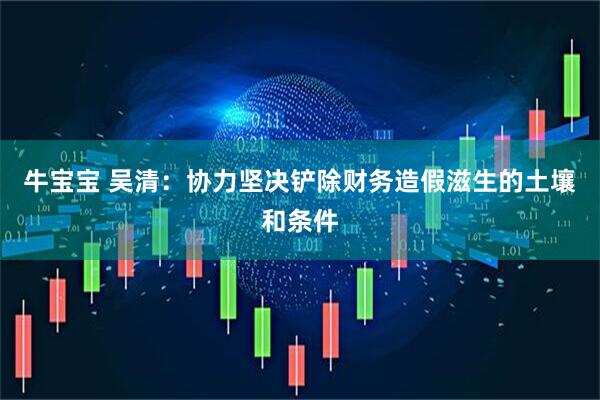 牛宝宝 吴清：协力坚决铲除财务造假滋生的土壤和条件